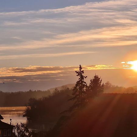 Ferienwohnung Rheinblick In Buesingen -Keine Monteure- Busingen المظهر الخارجي الصورة
