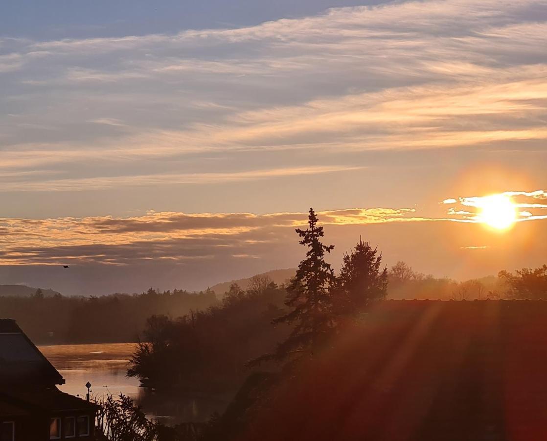 Ferienwohnung Rheinblick In Buesingen -Keine Monteure- Busingen المظهر الخارجي الصورة