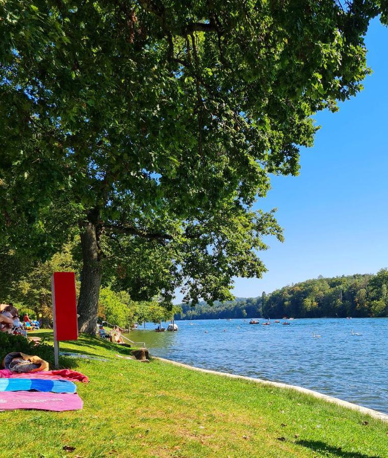 Ferienwohnung Rheinblick In Buesingen -Keine Monteure- Busingen المظهر الخارجي الصورة