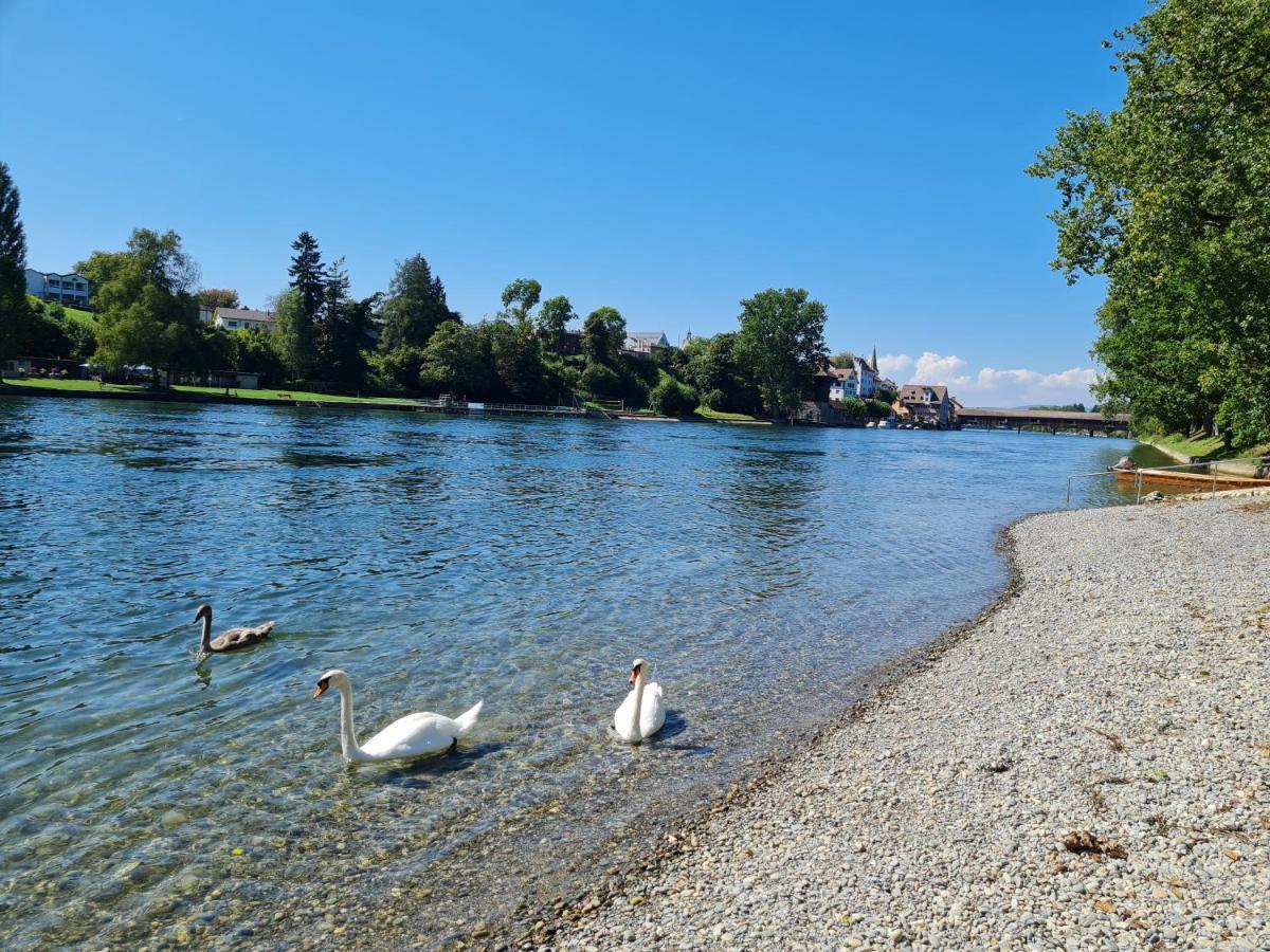 Ferienwohnung Rheinblick In Buesingen -Keine Monteure- Busingen المظهر الخارجي الصورة