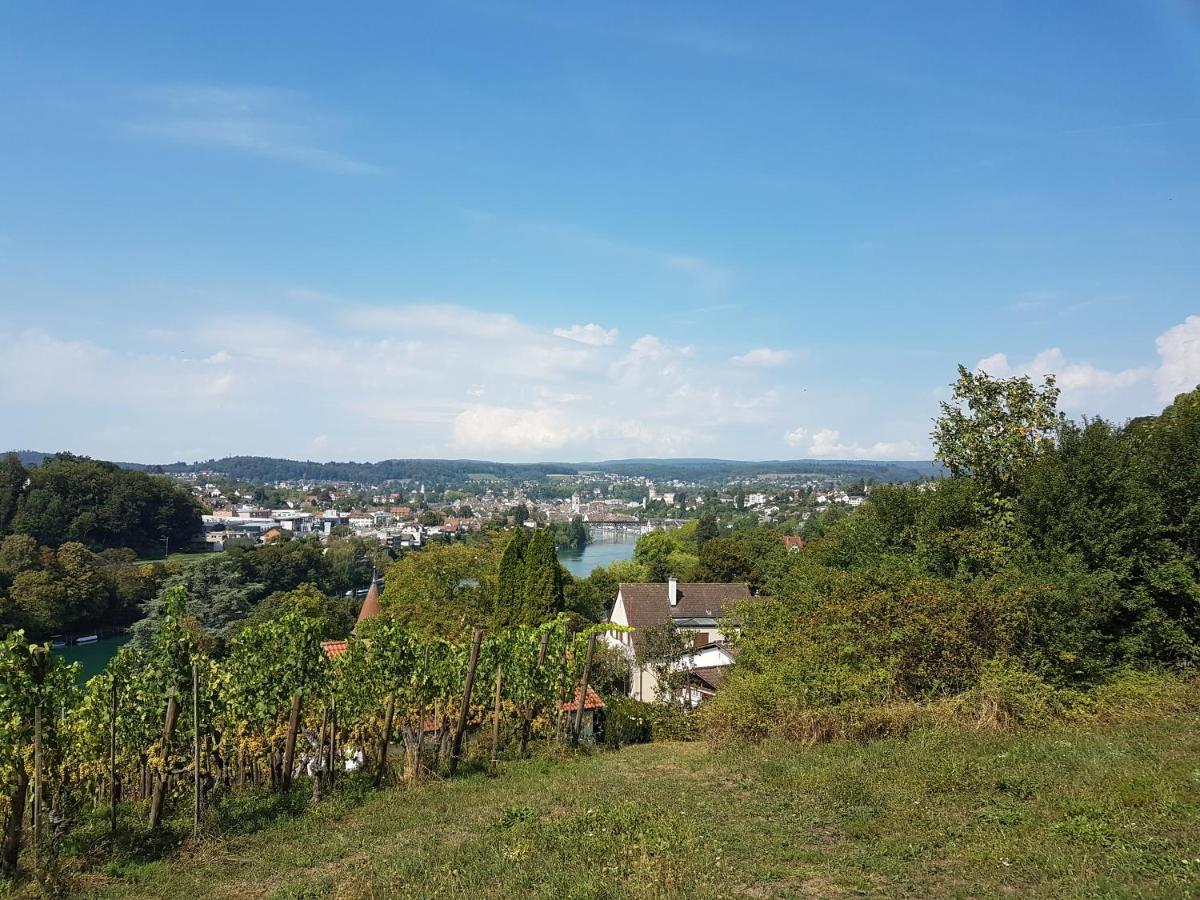 Ferienwohnung Rheinblick In Buesingen -Keine Monteure- Busingen المظهر الخارجي الصورة