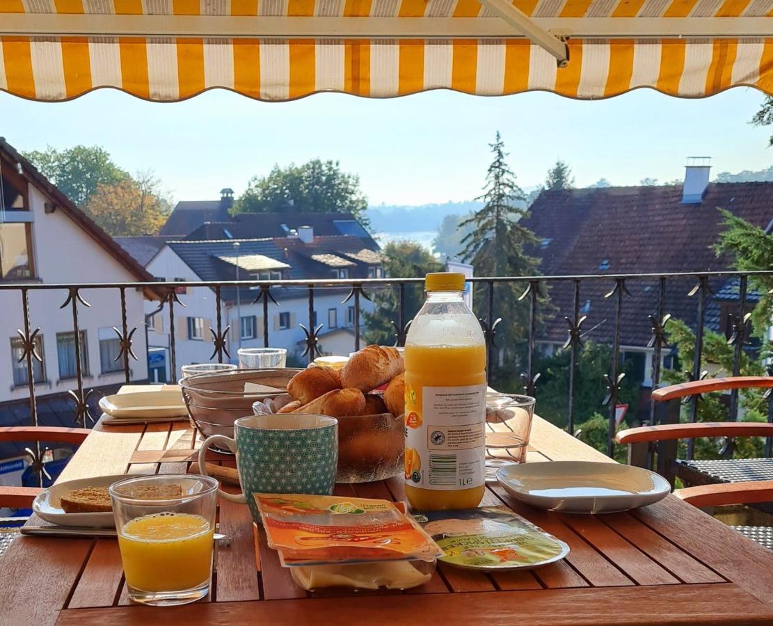 Ferienwohnung Rheinblick In Buesingen -Keine Monteure- Busingen المظهر الخارجي الصورة