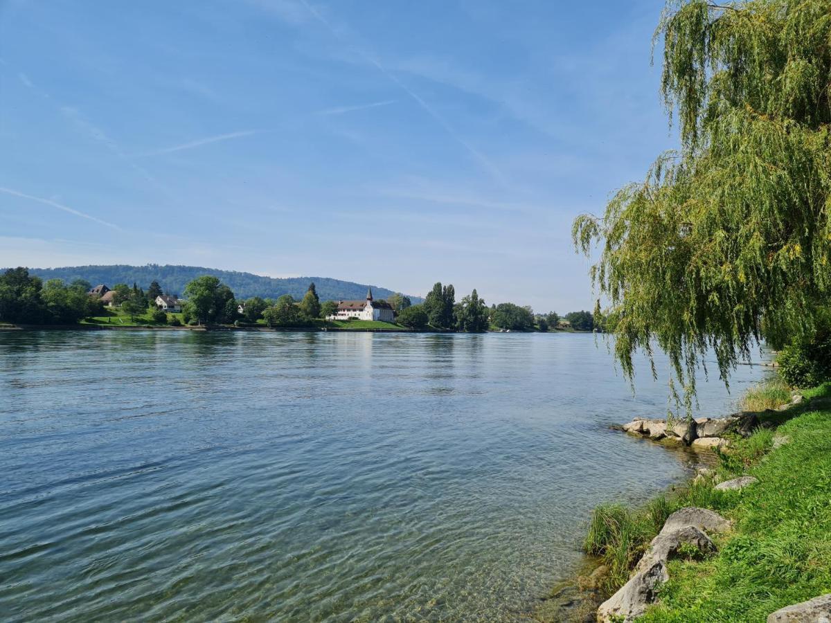 Ferienwohnung Rheinblick In Buesingen -Keine Monteure- Busingen المظهر الخارجي الصورة