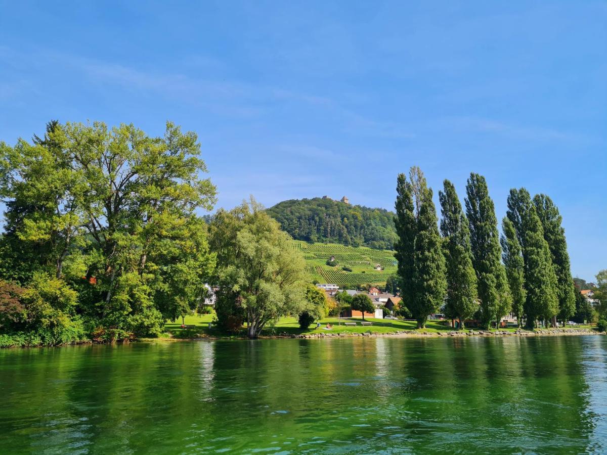 Ferienwohnung Rheinblick In Buesingen -Keine Monteure- Busingen المظهر الخارجي الصورة