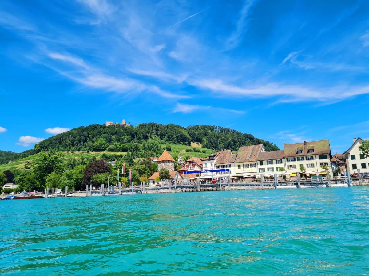 Ferienwohnung Rheinblick In Buesingen -Keine Monteure- Busingen المظهر الخارجي الصورة