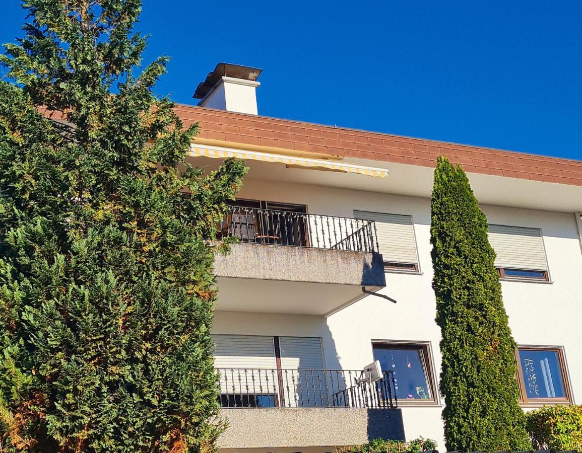 Ferienwohnung Rheinblick In Buesingen -Keine Monteure- Busingen المظهر الخارجي الصورة