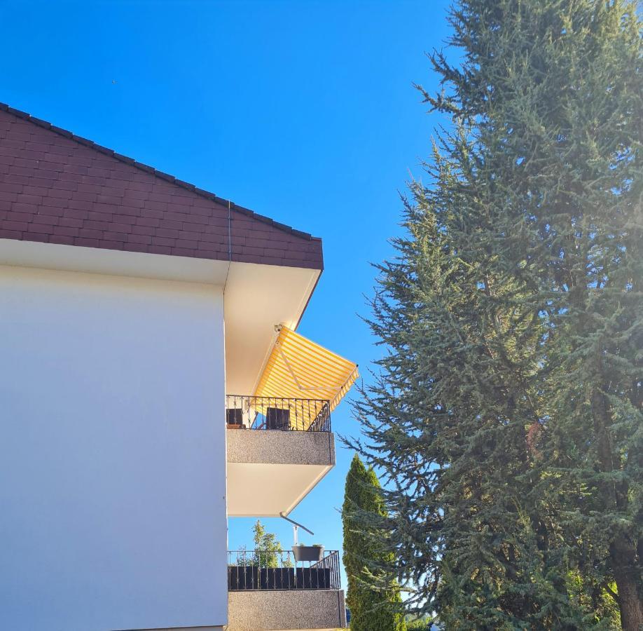 Ferienwohnung Rheinblick In Buesingen -Keine Monteure- Busingen المظهر الخارجي الصورة