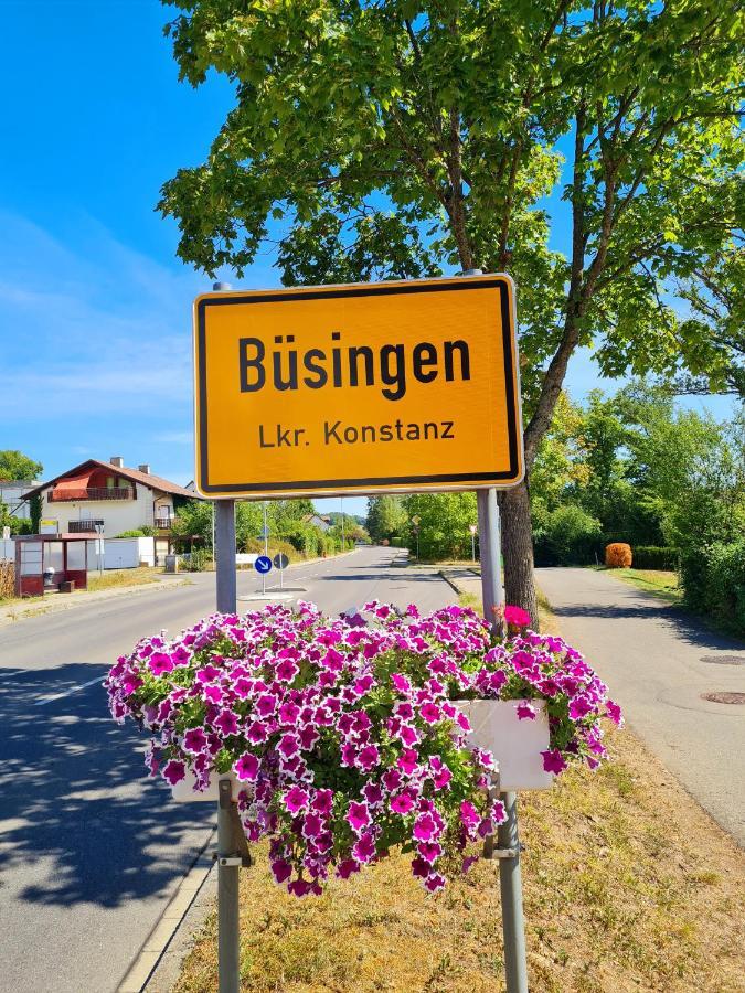 Ferienwohnung Rheinblick In Buesingen -Keine Monteure- Busingen المظهر الخارجي الصورة